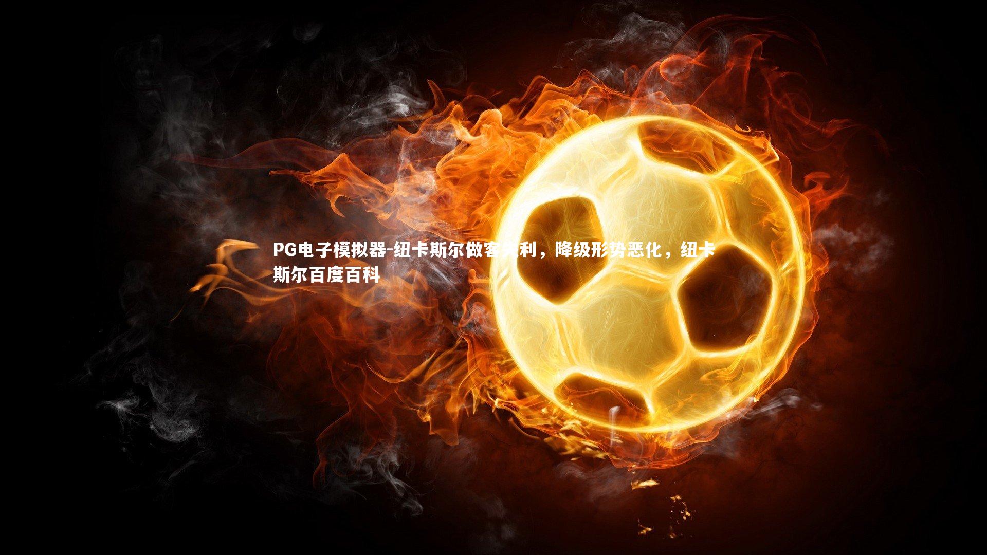 纽卡斯尔做客失利，降级形势恶化，纽卡斯尔百度百科